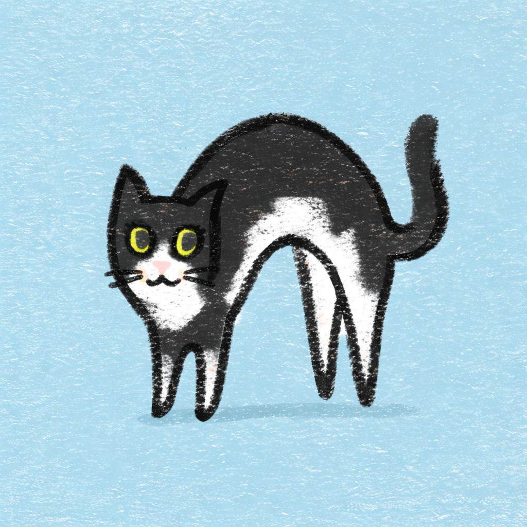 Author avatar